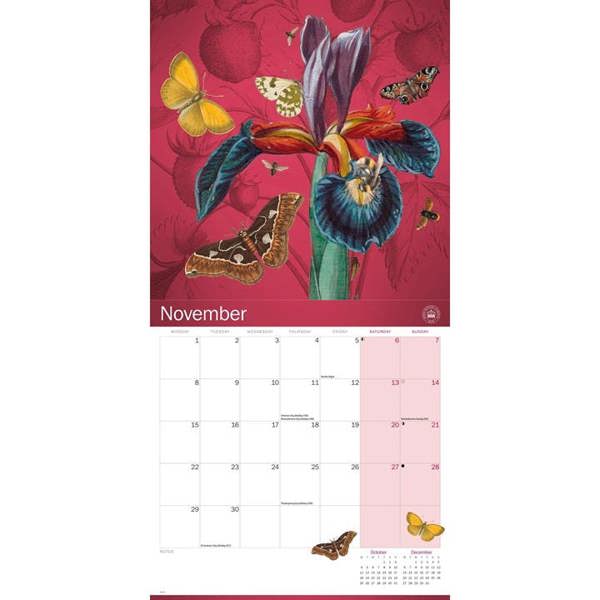 Royal Botanic Gardens, Kew Floral Illustrated Calendar 2027, Wall Calendars, Month To View, Lifestyle, Gift