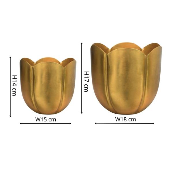 #color_gold