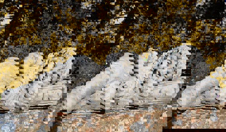 Fabulous Set of Three Children Garden Ornament