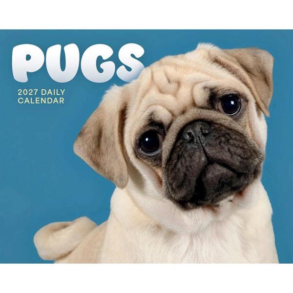 Pugs Desk Calendar 2027, Desk Calendars, Day To View, Dogs, Gift