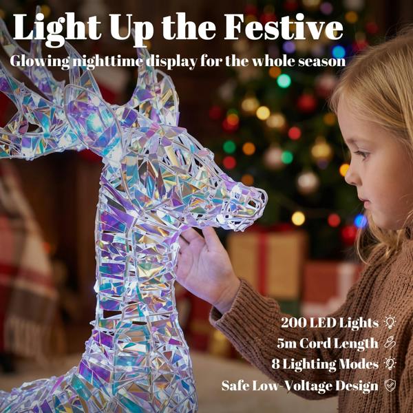 Lighted Christmas Decoration