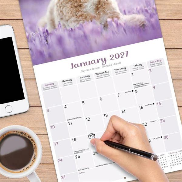 Puppies Calendar 2027, Wall Calendars, Month To View, Dogs, Gift
