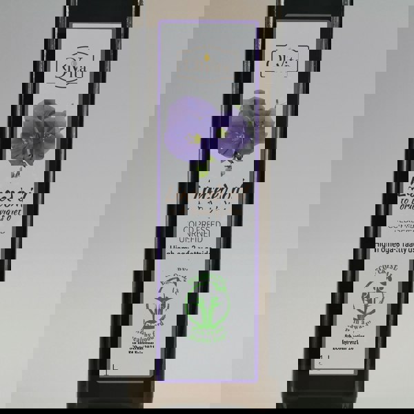 Ol'Vita Linseed | Flaxseed Oil for Dr Budwig Diet | Cold Pressed | Unrefined