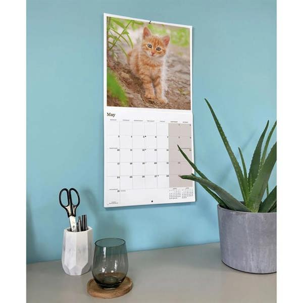 Ginger Cats Calendar 2027, Wall Calendars, Month To View, Cats, Gift