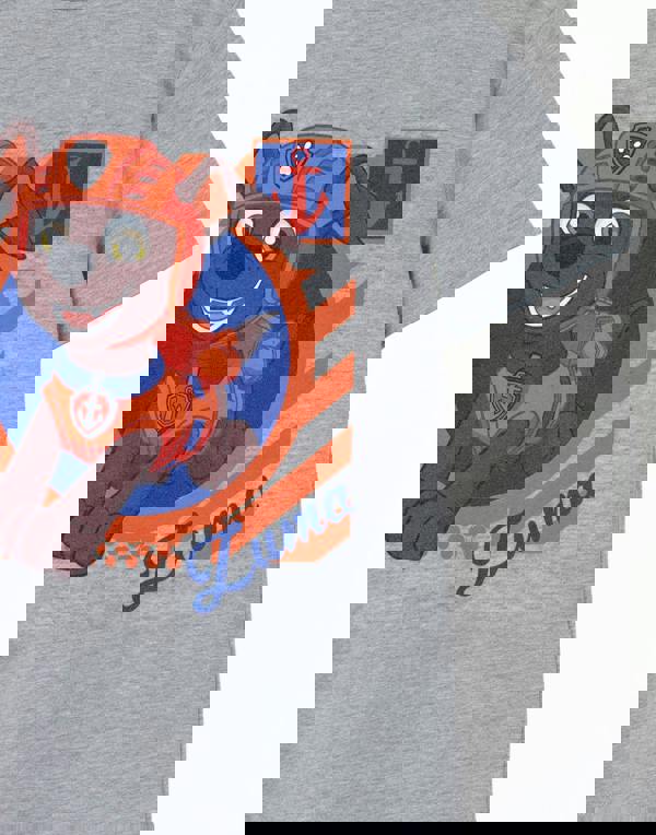 Paw Patrol Boys Grey Zuma Short Sleeved T-Shirt