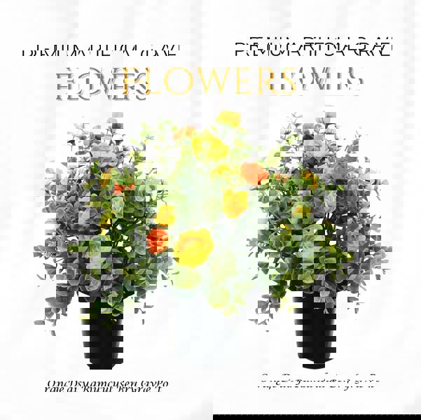 Memorials Direct Premium Artificial Grave Flowers – Orange Daisies with Ranunculus & Berries (25cm) | Memorial Vase Pot