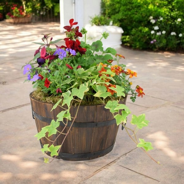 Seasonal Planted Wooden Barrel – 30cm Rustic Outdoor Planter Plants By Post