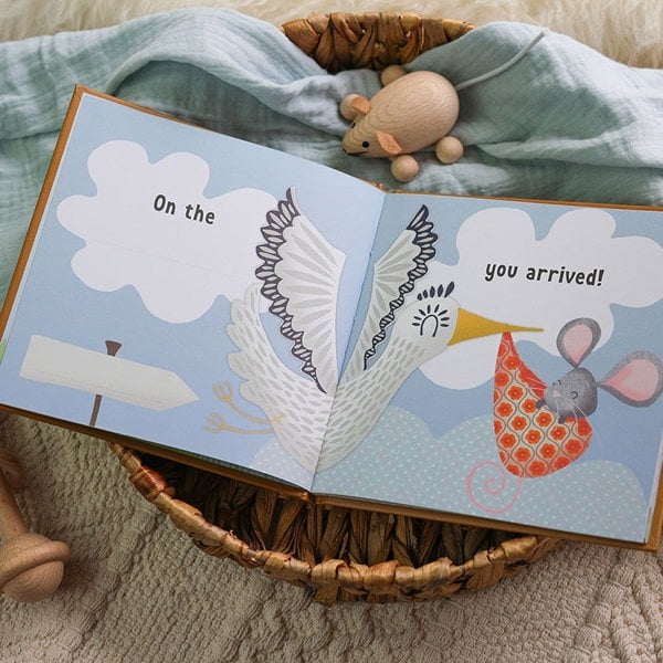 FROM YOU TO ME The Day You Were Born in November Newborn Gift Book