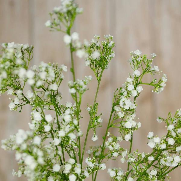 Wyld Haus Set of 3 Artificial Flowers Cream Gypsophila Sprays