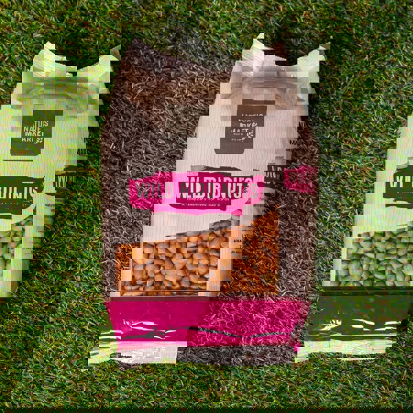 Samuel Alexander 1kg Bag Garden Wild Bird Whole Nuts Feed