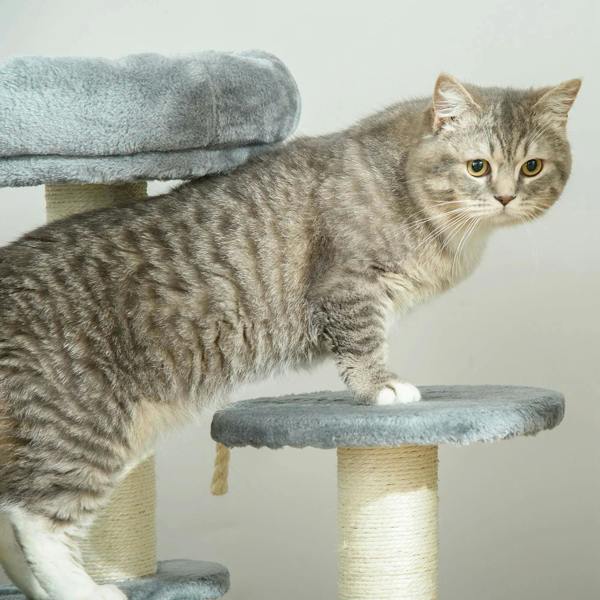 Grey tabby cat on a plush perch of a grey cat tree with sisal-wrapped post