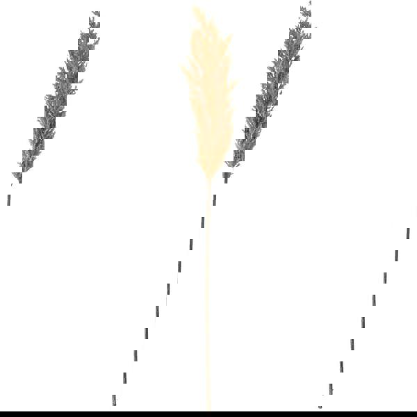 Hill Interiors Dried Pampas Grass Artificial Flower - Taupe - 