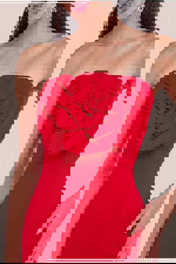 Scuba Crepe Bandeau Rose Maxi Dress - Red DR4243