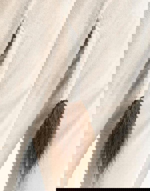 Shrek Unisex Brown Donkey Onesie