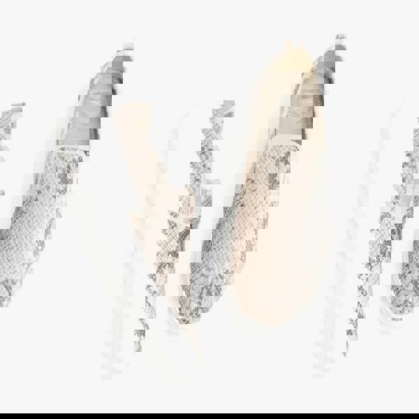 1615364814-70124500.jpg