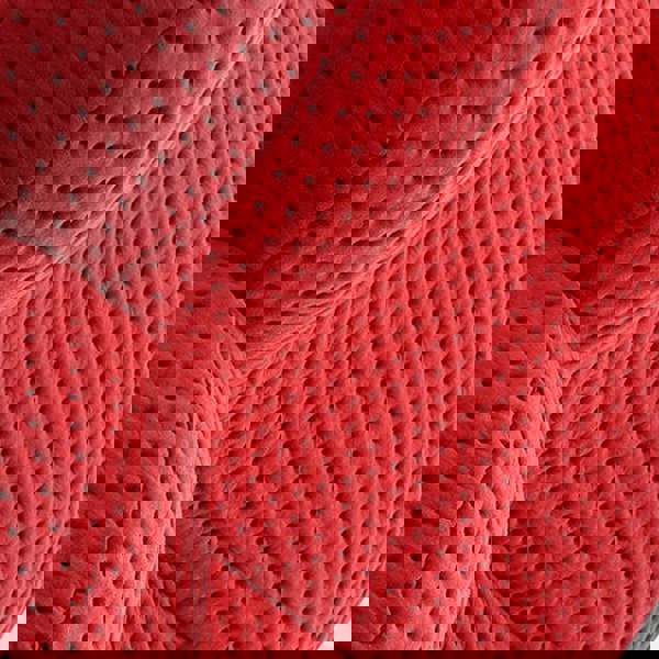 Cruz Baba Easy Chair, Lounge Chair, Red-Weilai Concept-Weilai Concept