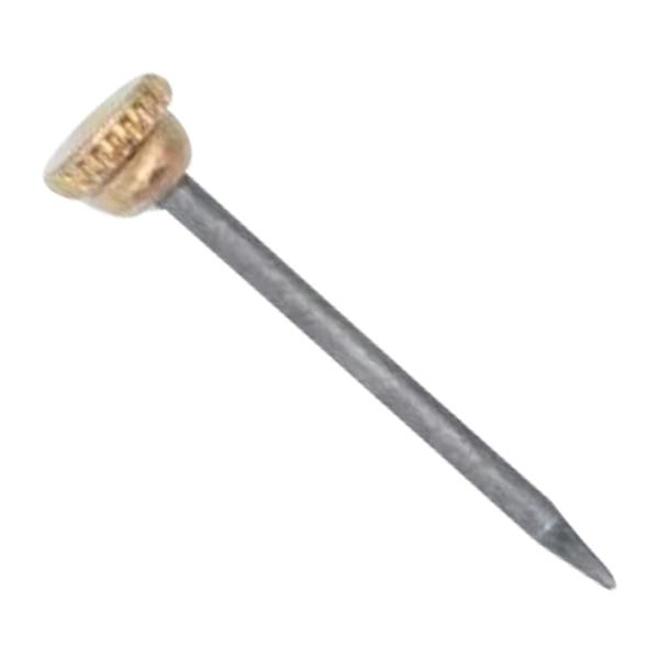 X Brass Head Picture Pins 10pk - One Colour - 