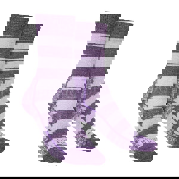 t4option1_3