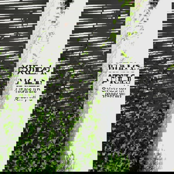 Outdoor Privacy Screen