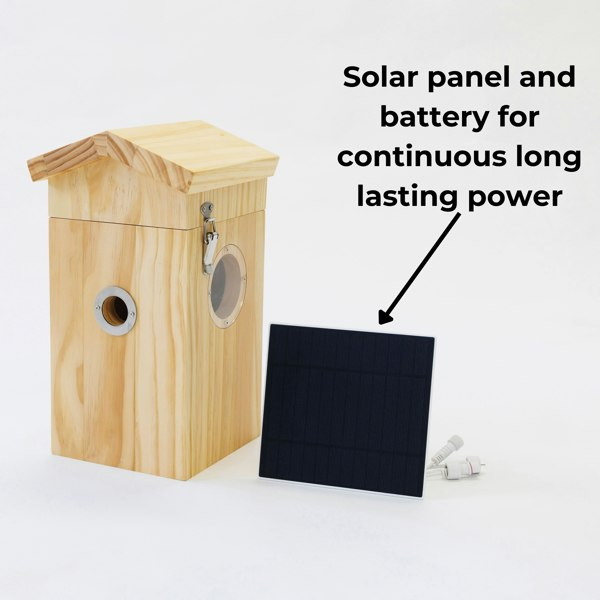 Callow Retail Pine smart bird house and Camera with Solar Panel