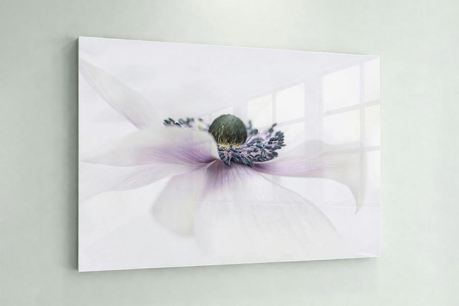 Fernlight Gallery Botanical Elegance