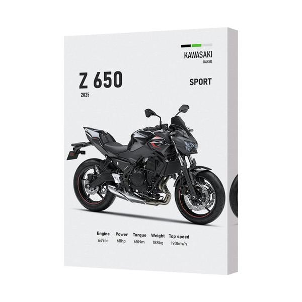 Benjamin Tate Design Kawasaki Z650 Naked Sport Motorcycle Canvas Art Print Wall Decor UK Handmade