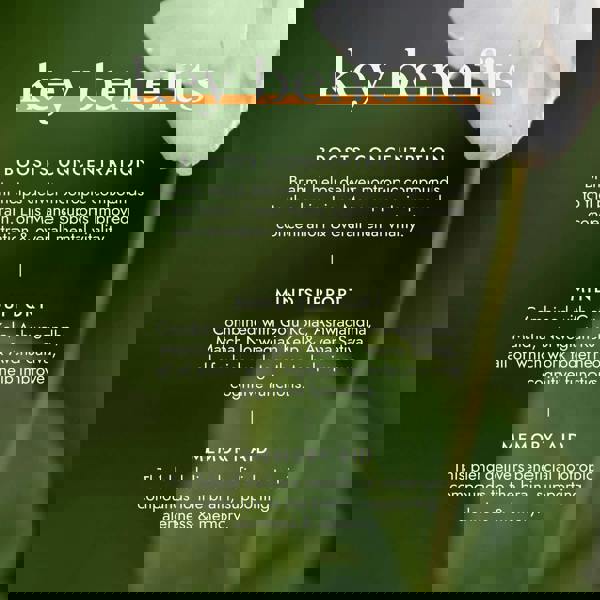 Fushi Herbal & Vitamin Blends Nootropic Brain Blend x 60 Capsules - Additional 5