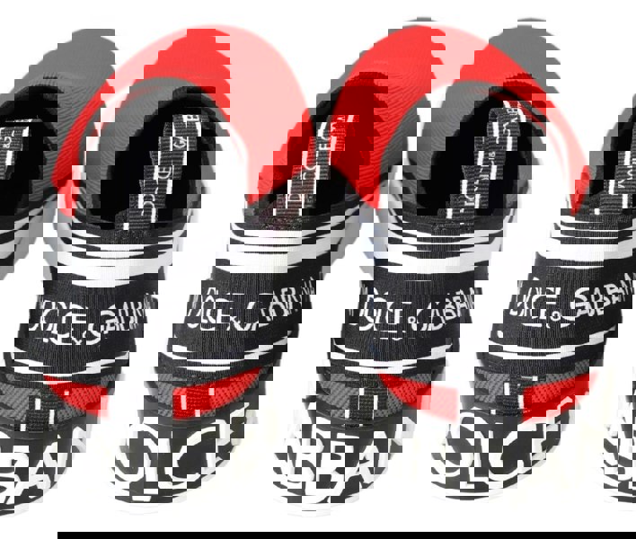 154079351.jpg
