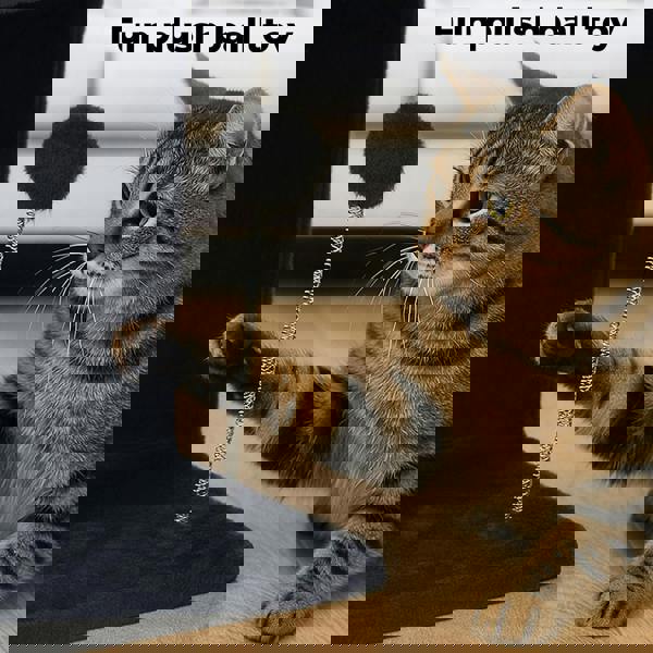 Skylos Cat Tree Tower Big Perch Bed Spacious Condo with Sisal Scratching Post