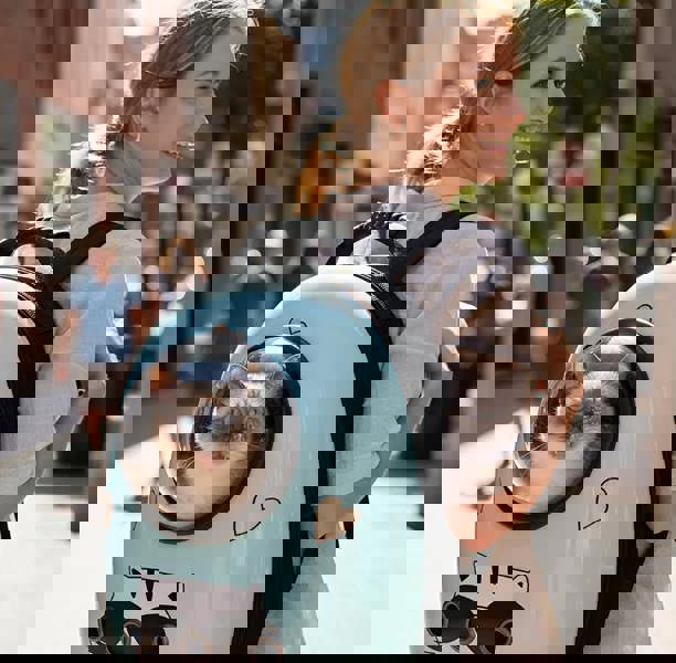 Anywags ANYPET Space Capsule Pet Carrier - Breathable Travel Bag with Cat Print