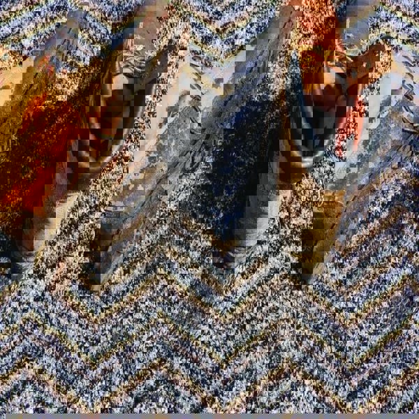 The Rugs Washable Chevron Mat in Multicolour | Practical