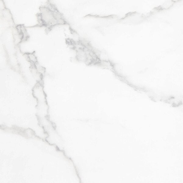 Wyld Haus Hazelmere White Marble Carrara Coffee Table Black Metal Legs