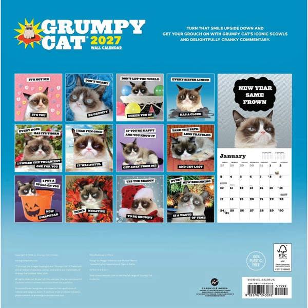 Chronicle Books Grumpy Cat Calendar 2027, Wall Calendars, Month To View, Humour, Gift