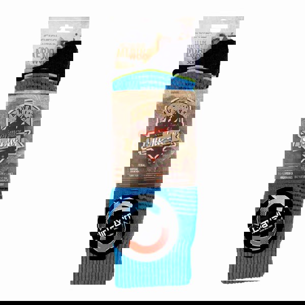 t4option1_1