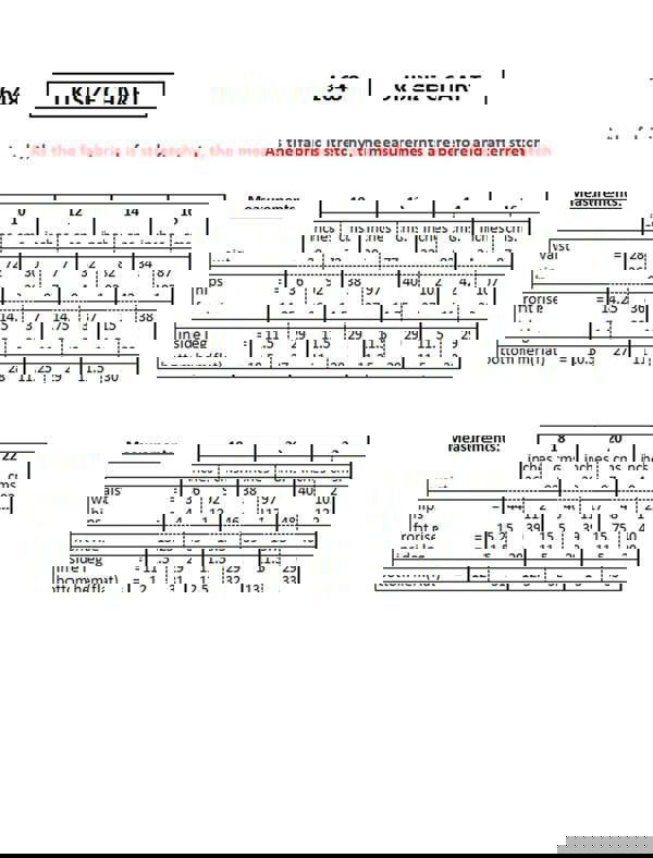 Paulo Due Women's Tailored Wide Leg Knee Shorts