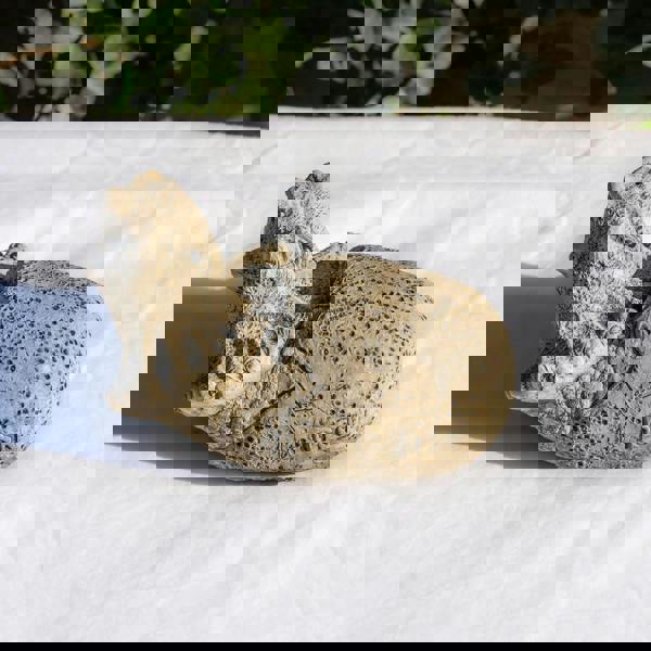 Small Stone Cast Triceratops Garden Sculpture Dinosaur Animal Statue