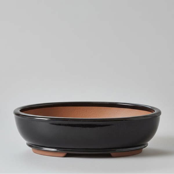 Yorkshire Bonsai 37cm Glazed Bonsai Pot | Oval | 37cm x 31cm x 9cm | Black