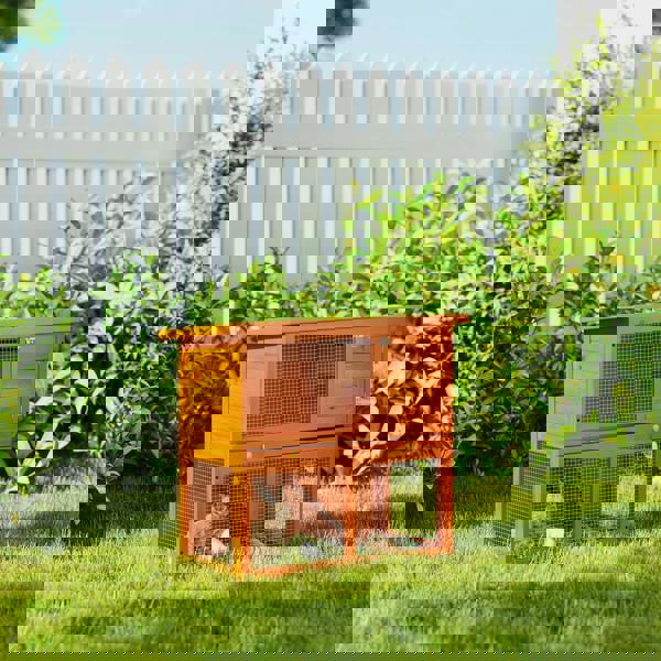 Rabbit Hutch