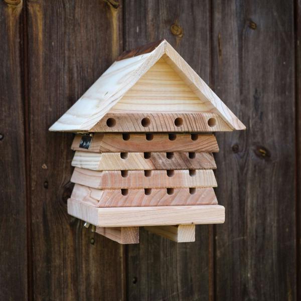 Interactive Solitary Bee Hive with Viewing Lid – Wooden Bee Hotel for Garden Pollinators