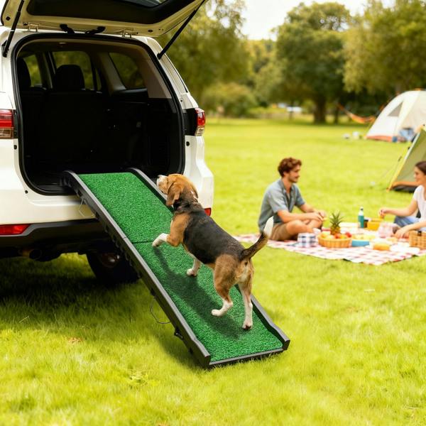 Pet Ramp