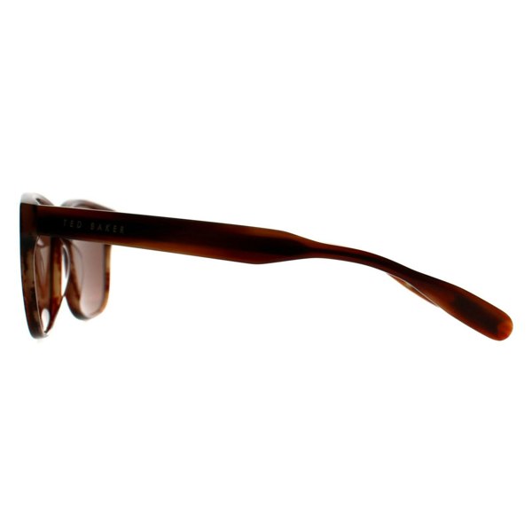 Ted Baker Sunglasses TB8232 151 Brown Horn Brown