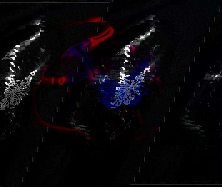 Cheetah Contact Sensitive 5 Inch Plasma Ball with Butterfly Effect