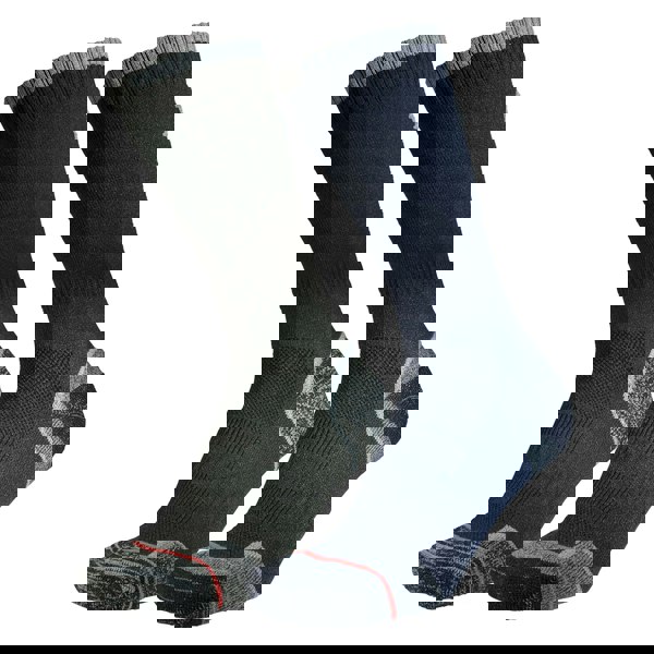 t4option1_0
