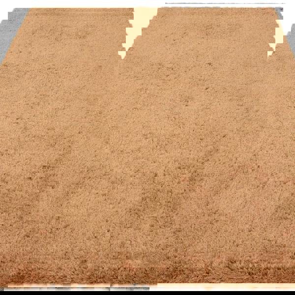 Asiatic Opulence Shaggy Terra Rug