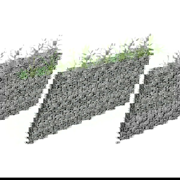 Berkfield Gabion Raised Bed Galvanised Steel 180x30x60 cm