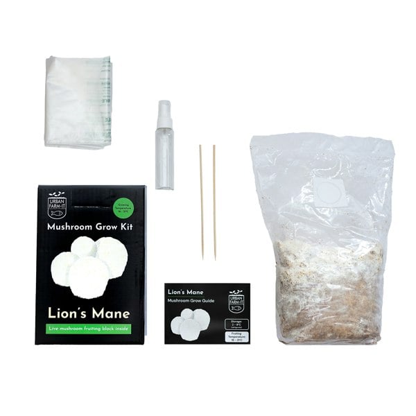 lions mane kit