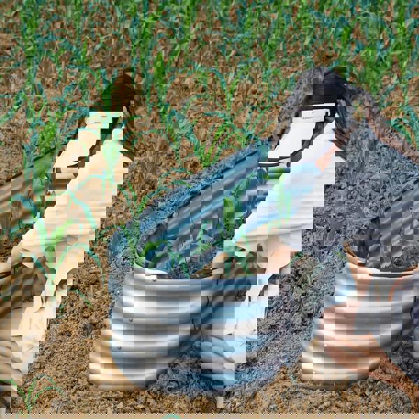 Gr8 Garden Outdoor Raised Bed Planter Oval Galvanised Steel Trough Box 120x61x30cm