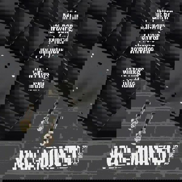 NET1 Basketball Backboard & Hoop