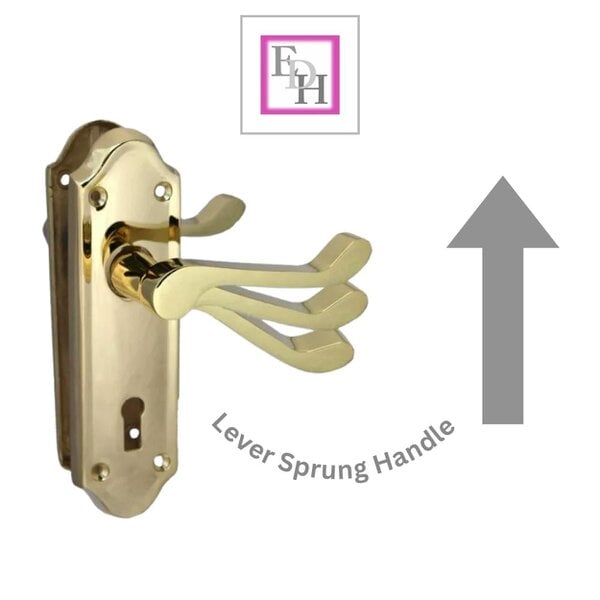 EDH Door Hardware Askworth Brass Plate Internal Lock Door Handles+ 3 Lever Mortice Sash Lock-170mm