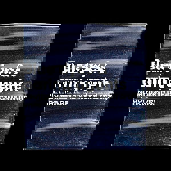 L'Oréal Professionnel Vitamino Color Spectrum Blue Shampoo Duo